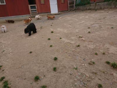 f:id:roukenhome-ann:20190519113504j:plain