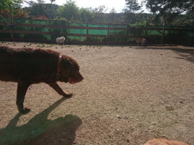 f:id:roukenhome-ann:20190519113521j:plain