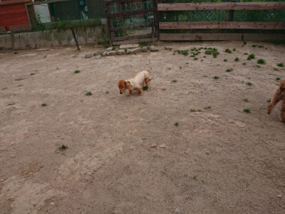 f:id:roukenhome-ann:20190519113527j:plain