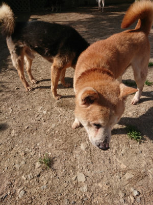 f:id:roukenhome-ann:20190519113534j:plain
