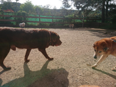 f:id:roukenhome-ann:20190519113539j:plain