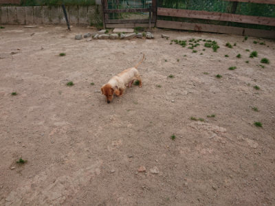 f:id:roukenhome-ann:20190519113545j:plain
