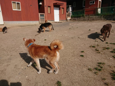 f:id:roukenhome-ann:20190519113626j:plain
