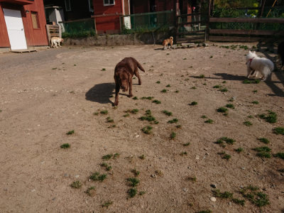 f:id:roukenhome-ann:20190519113642j:plain