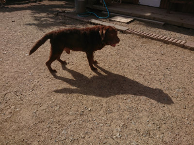 f:id:roukenhome-ann:20190519113655j:plain