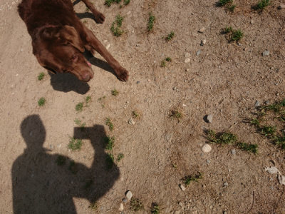 f:id:roukenhome-ann:20190519113718j:plain