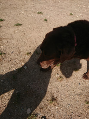 f:id:roukenhome-ann:20190519113722j:plain