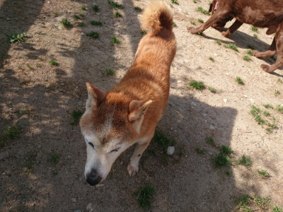 f:id:roukenhome-ann:20190519113735j:plain