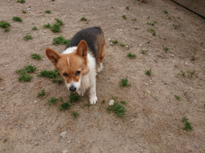 f:id:roukenhome-ann:20190519113828j:plain