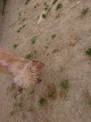 f:id:roukenhome-ann:20190519113926j:plain