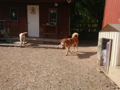 f:id:roukenhome-ann:20190519114005j:plain