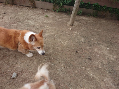 f:id:roukenhome-ann:20190519114026j:plain