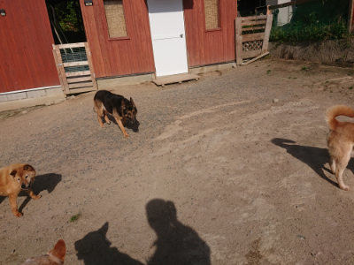 f:id:roukenhome-ann:20190519114038j:plain