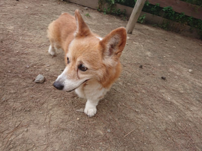 f:id:roukenhome-ann:20190519114052j:plain