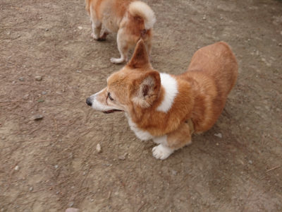 f:id:roukenhome-ann:20190519114056j:plain