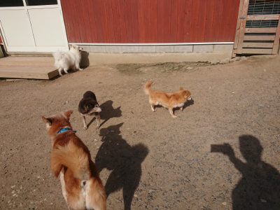 f:id:roukenhome-ann:20190519114102j:plain
