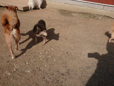 f:id:roukenhome-ann:20190519114122j:plain