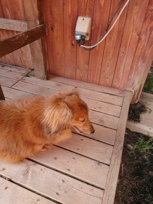 f:id:roukenhome-ann:20190519120031j:plain