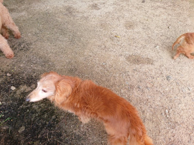 f:id:roukenhome-ann:20190519120039j:plain