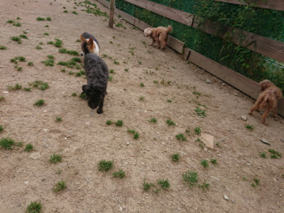 f:id:roukenhome-ann:20190519120116j:plain
