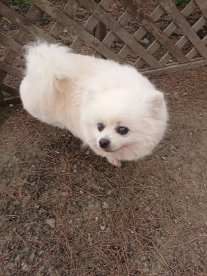 f:id:roukenhome-ann:20190519120132j:plain