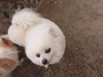 f:id:roukenhome-ann:20190519120139j:plain
