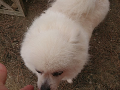 f:id:roukenhome-ann:20190519120144j:plain