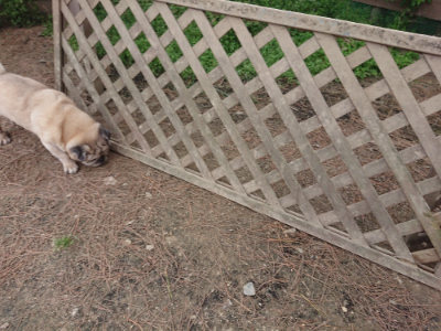 f:id:roukenhome-ann:20190519120155j:plain
