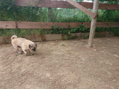 f:id:roukenhome-ann:20190519120234j:plain