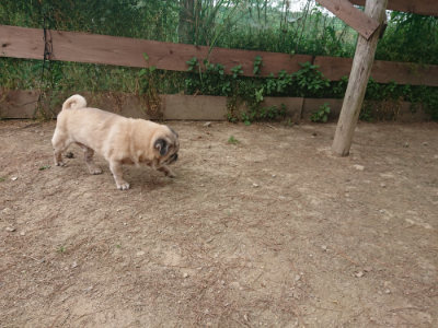 f:id:roukenhome-ann:20190519120241j:plain