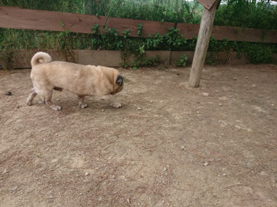 f:id:roukenhome-ann:20190519120247j:plain