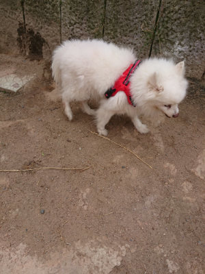 f:id:roukenhome-ann:20190519120310j:plain
