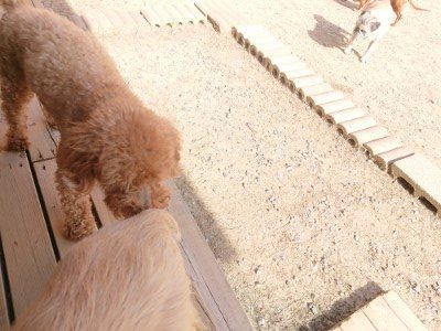 f:id:roukenhome-ann:20190519120516j:plain