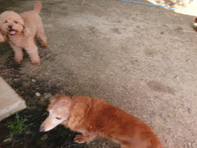 f:id:roukenhome-ann:20190519121026j:plain