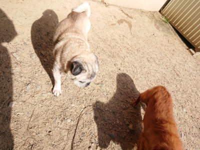 f:id:roukenhome-ann:20190519121041j:plain