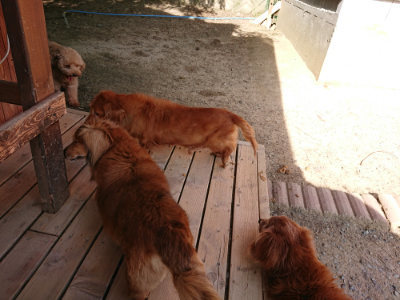 f:id:roukenhome-ann:20190519121057j:plain