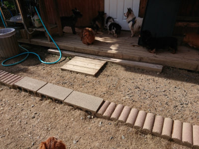 f:id:roukenhome-ann:20190519121122j:plain