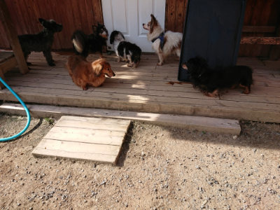 f:id:roukenhome-ann:20190519121129j:plain