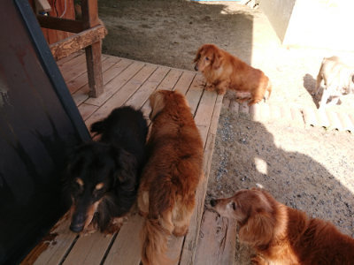 f:id:roukenhome-ann:20190519121220j:plain
