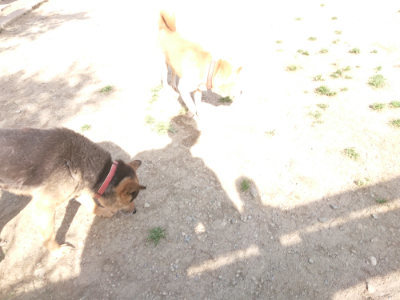 f:id:roukenhome-ann:20190519121246j:plain