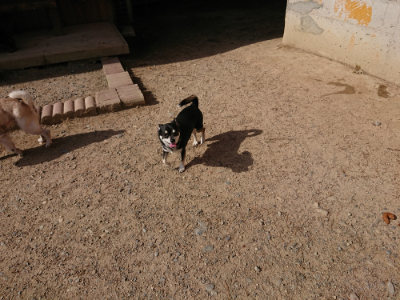 f:id:roukenhome-ann:20190519121304j:plain