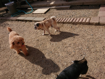 f:id:roukenhome-ann:20190519121354j:plain