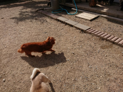f:id:roukenhome-ann:20190519121516j:plain