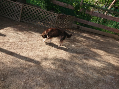 f:id:roukenhome-ann:20190519123038j:plain