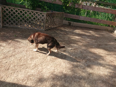 f:id:roukenhome-ann:20190519123044j:plain
