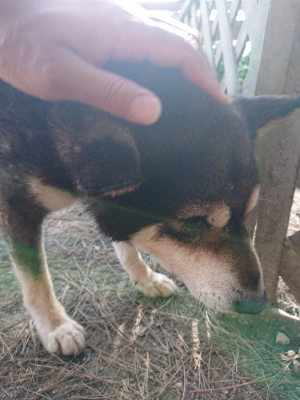 f:id:roukenhome-ann:20190519123112j:plain