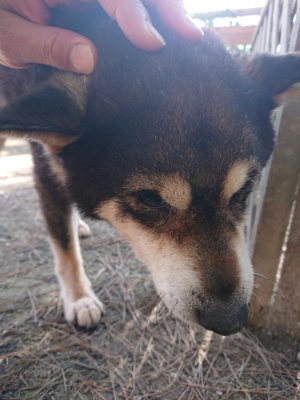 f:id:roukenhome-ann:20190519123127j:plain