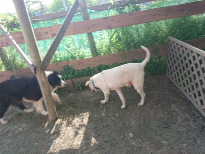 f:id:roukenhome-ann:20190519123202j:plain