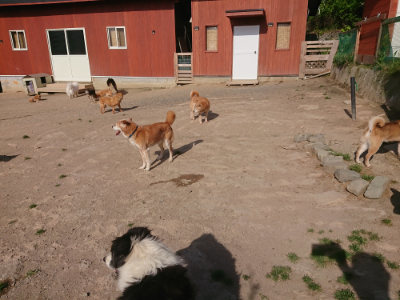 f:id:roukenhome-ann:20190519123216j:plain