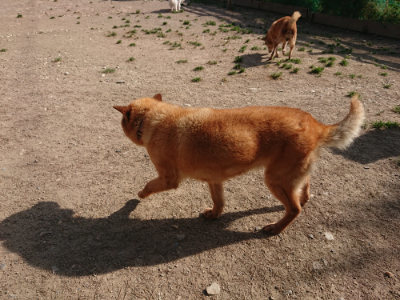 f:id:roukenhome-ann:20190519123226j:plain